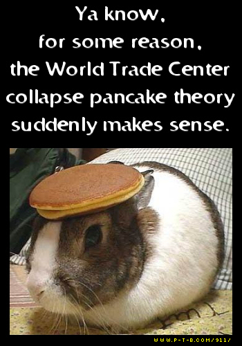 A Bunny with a Pancake on his Head